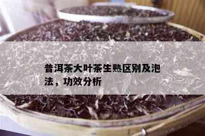 普洱茶大叶茶生熟区别及泡法，功效分析