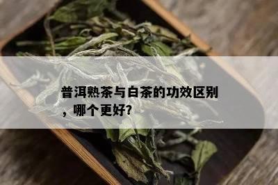 普洱熟茶与白茶的功效区别，哪个更好？