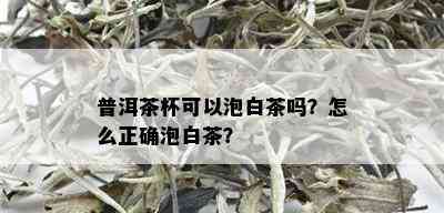 普洱茶杯可以泡白茶吗？怎么正确泡白茶？