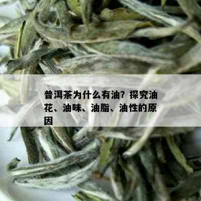 普洱茶为什么有油？探究油花、油味、油脂、油性的原因