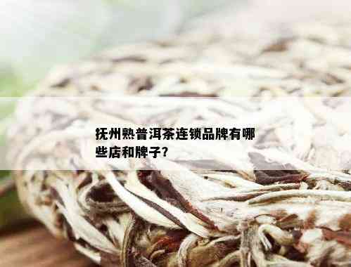 抚州熟普洱茶连锁品牌有哪些店和牌子？