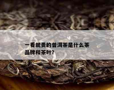 一看就贵的普洱茶是什么茶品牌和茶叶？