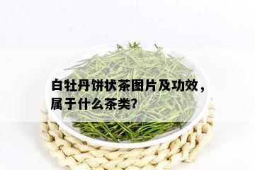 白牡丹饼状茶图片及功效，属于什么茶类？