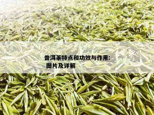 普洱茶特点和功效与作用: 图片及详解