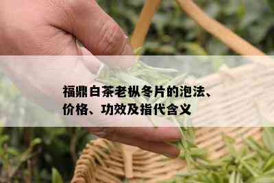 福鼎白茶老枞冬片的泡法、价格、功效及指代含义