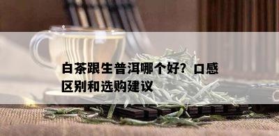 白茶跟生普洱哪个好？口感区别和选购建议