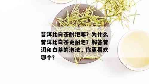 普洱比白茶耐泡嘛？为什么普洱比白茶更耐泡？解答普洱和白茶的泡法，你更喜欢哪个？