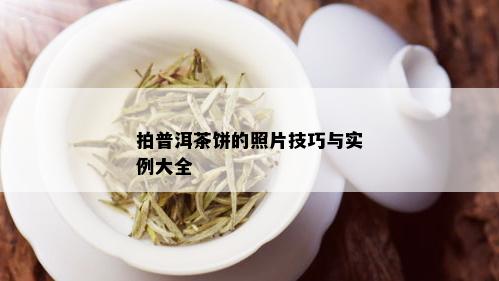 拍普洱茶饼的照片技巧与实例大全