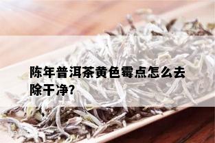 陈年普洱茶黄色霉点怎么去除干净？