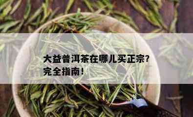 大益普洱茶在哪儿买正宗？完全指南！