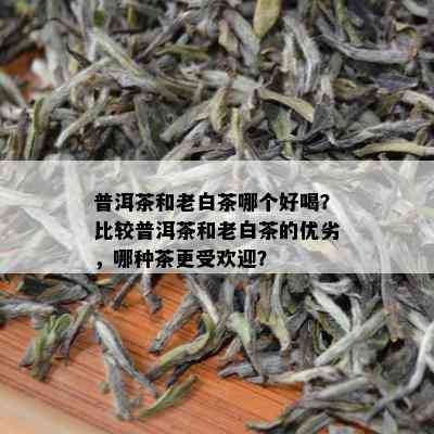 普洱茶和老白茶哪个好喝？比较普洱茶和老白茶的优劣，哪种茶更受欢迎？