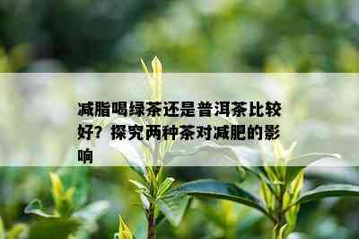 减脂喝绿茶还是普洱茶比较好？探究两种茶对减肥的影响