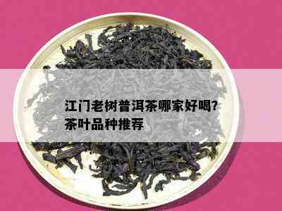 江门老树普洱茶哪家好喝？茶叶品种推荐