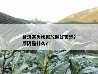 普洱茶为啥越放越好苦涩？原因是什么？