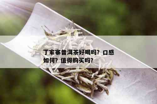 丁家寨普洱茶好喝吗？口感如何？值得购买吗？