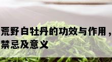 荒野白牡丹的功效与作用，禁忌及意义