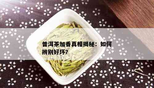 普洱茶加香真相揭秘：如何辨别好坏？