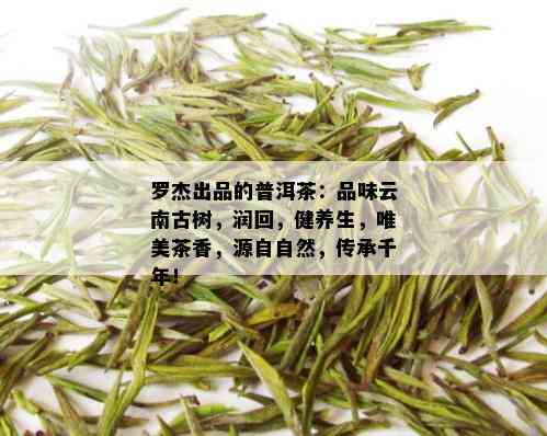 罗杰出品的普洱茶：品味云南古树，润回，健养生，唯美茶香，源自自然，传承千年！