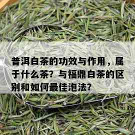 普洱白茶的功效与作用，属于什么茶？与福鼎白茶的区别和如何更佳泡法？