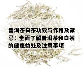 普洱茶白茶功效与作用及禁忌：全面了解普洱茶和白茶的健康益处及注意事项