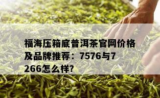 福海压箱底普洱茶官网价格及品牌推荐：7576与7266怎么样？