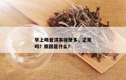 早上喝普洱茶排便多，正常吗？原因是什么？