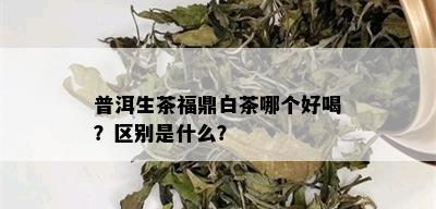 普洱生茶福鼎白茶哪个好喝？区别是什么？