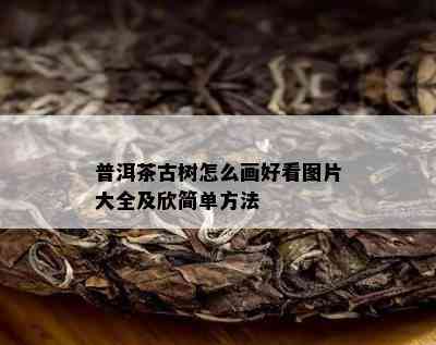 普洱茶古树怎么画好看图片大全及欣简单方法