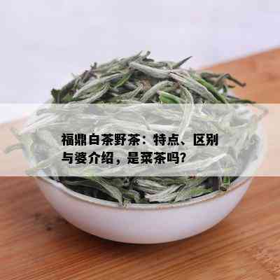 福鼎白茶野茶：特点、区别与婆介绍，是菜茶吗？