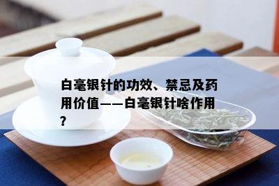 白毫银针的功效、禁忌及用价值——白毫银针啥作用？