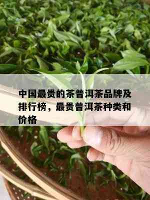 中国最贵的茶普洱茶品牌及排行榜，最贵普洱茶种类和价格