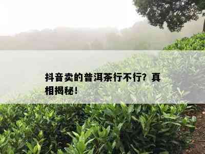 抖音卖的普洱茶行不行？真相揭秘！