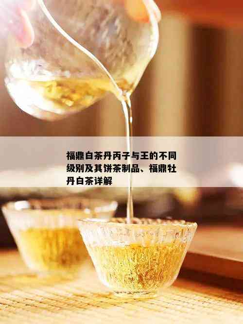 福鼎白茶丹丙子与王的不同级别及其饼茶制品、福鼎牡丹白茶详解