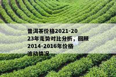 普洱茶价格2021-2023年走势对比分析，回顾2014-2016年价格波动情况