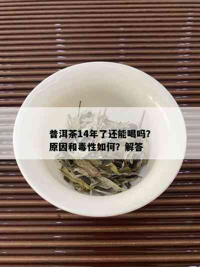 普洱茶14年了还能喝吗？原因和性如何？解答