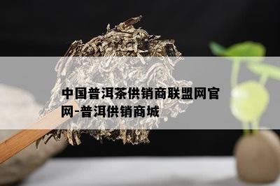 中国普洱茶供销商联盟网官网-普洱供销商城