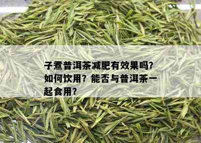 子煮普洱茶减肥有效果吗？如何饮用？能否与普洱茶一起食用？