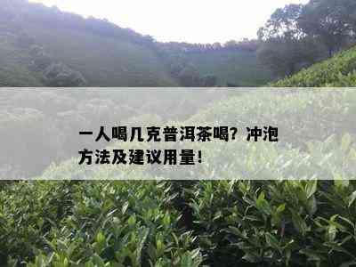 一人喝几克普洱茶喝？冲泡方法及建议用量！