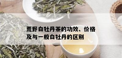 荒野白牡丹茶的功效、价格及与一般白牡丹的区别