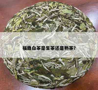 福鼎白茶是生茶还是熟茶？