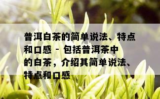 普洱白茶的简单说法、特点和口感 - 包括普洱茶中的白茶，介绍其简单说法、特点和口感