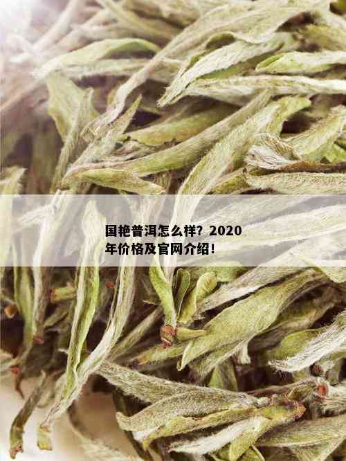 国艳普洱怎么样？2020年价格及官网介绍！