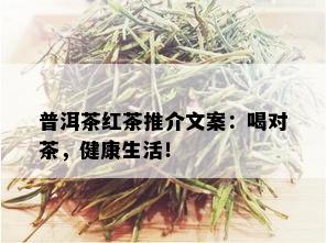 普洱茶红茶推介文案：喝对茶，健康生活！