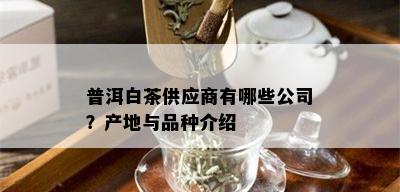 普洱白茶供应商有哪些公司？产地与品种介绍