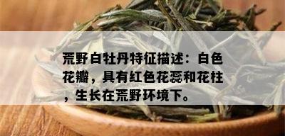 荒野白牡丹特征描述：白色花瓣，具有红色花蕊和花柱，生长在荒野环境下。