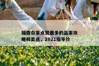 福鼎白茶点赞最多的品茶攻略和卖点，2021指导价