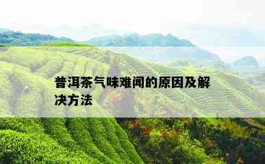 普洱茶气味难闻的原因及解决方法