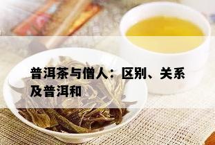 普洱茶与僧人：区别、关系及普洱和