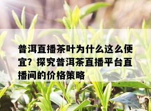 普洱直播茶叶为什么这么便宜？探究普洱茶直播平台直播间的价格策略