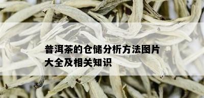 普洱茶的仓储分析方法图片大全及相关知识